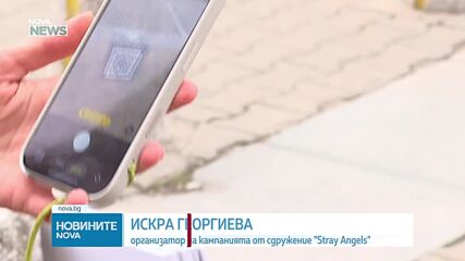 „Сканирай лапата“: QR код насочва към онлайн платформа с указания как да се реагира при животно в беда