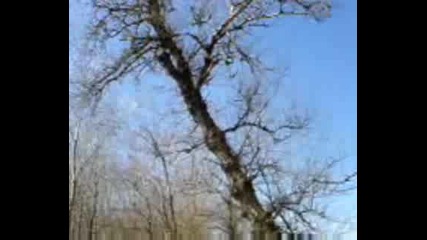 Mov00009.avi