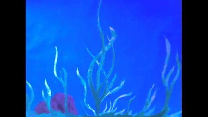 Colores del Mar - Colours of the Sea 