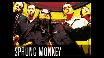 Sprung Monkey - American Made