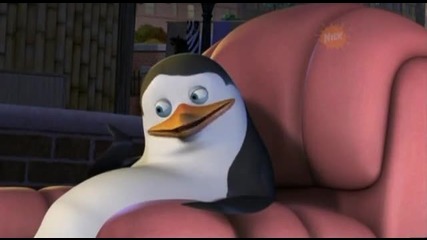 The Penguins Of Madagascar - Tangled In The Web