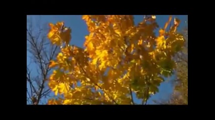 Осенний Вальс - /превод / - Владимир Соболь 