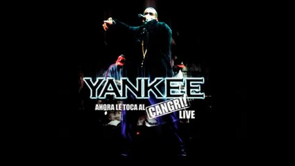 Daddy Yankee - Yo No Creo En Socios (mi Gatita Y Yo) Live 