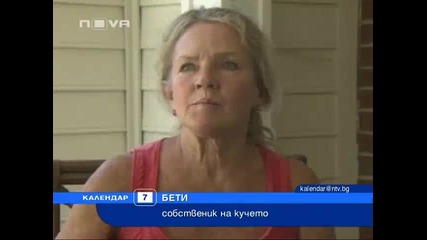 Куче, избягало преди урагана, се завърна у дома 10 дни по-късно.