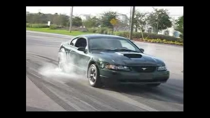 Mustang Burnout