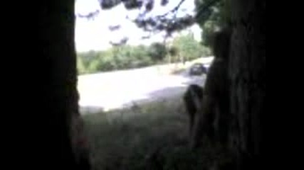 Rali Vida