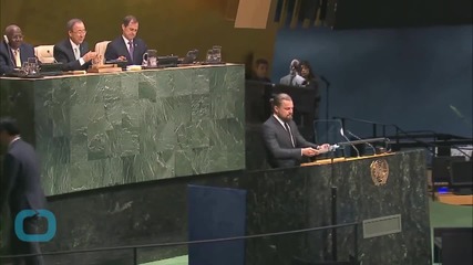 Leonardo DiCaprio's Foundation Donates $15 Million To Global Conservation Efforts