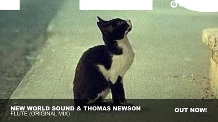 New World Sound & Thomas Newson - Flute (original Mix)