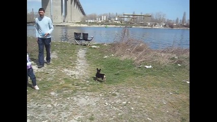 ивка 05.04.2012 - 3