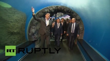 Русия: Путин инспектира аквариум на остров Руски