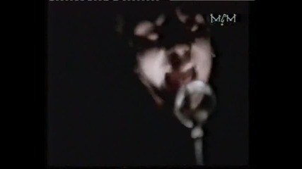 Bush - Little Things 