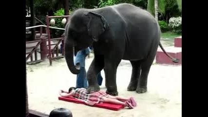 Слонски масаж