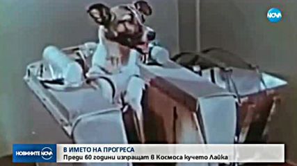 Новините на NOVA (03.11.2017 - следобедна емисия)