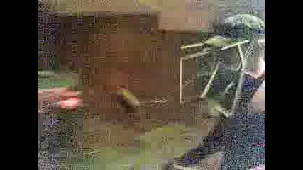 4udovi6teto v luminal - vusho clip - crew