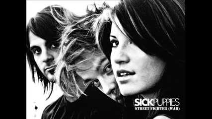 Sick Puppies - You're Going Down (acoustic)