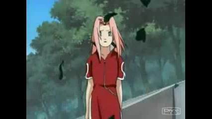 Sakura - Whos That Girl?