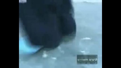 Great C - Walk