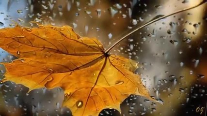 Andrea Bocelli / Veronica Berti - Autumn Leaves