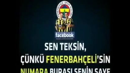 Alex De Souza Fenerbahce