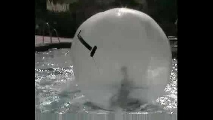 Aguaspheres Water Walking Balls Birthday Party