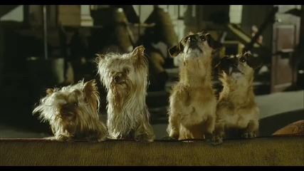 Hotel for dogs   HD 480p