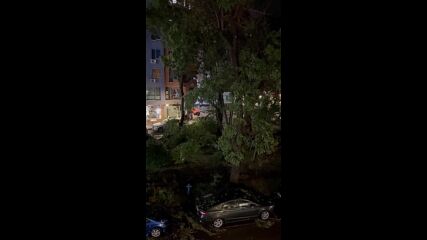 Погромът след бурята Пловдив