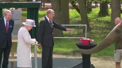 Кралица Елизабет нахрани слон