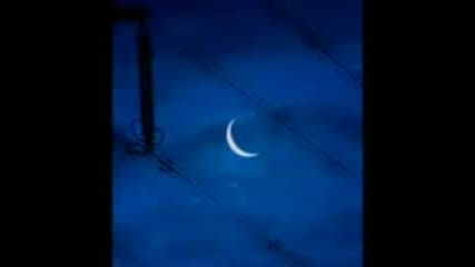 Mavi Kiyamet - Kiyamet