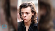 Will Harry Styles Quit One Direction Next?