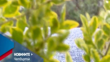 В Новините на NOVA от 12.00 ч. на 20 април очаквайте