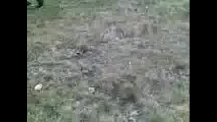 Foto centar006