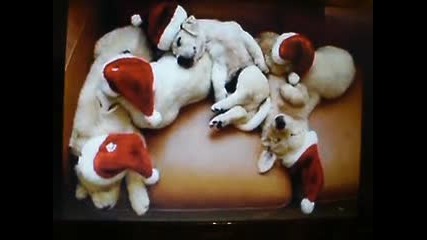 Wi wish you a merry Christmas + sub