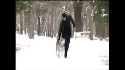 Тони Дачева - Липсваш Ми