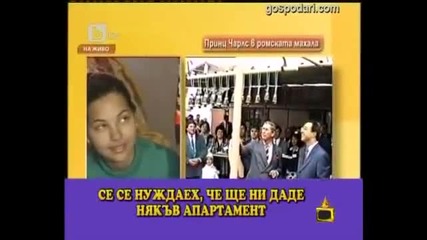 Фен на Доко Пловдив