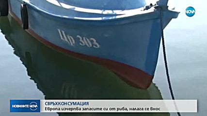 Може ли Черно море да остане без риба?
