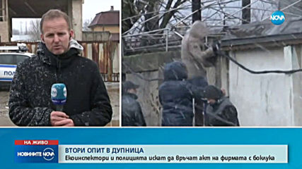 Новините на NOVA (05.02.2020 - следобедна емисия)