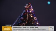 Коледната елха в София грейва на ново място