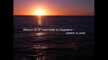 Никога 