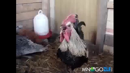 Адското събуждане