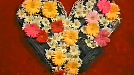 Mtv Bumper - Heart made of weapons and flowersvia torchbrowser.com