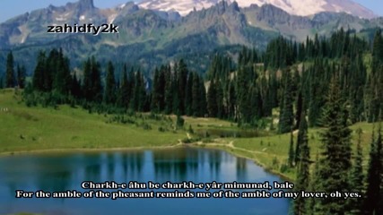 The hunt ~~~ Niyaz 