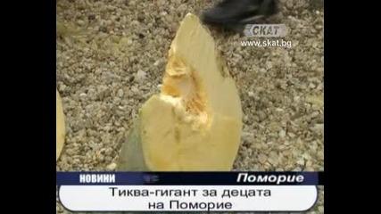 Голямата тиква Тв Скат 