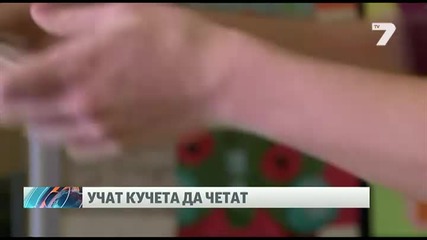 Учат кучета да четат