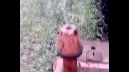Оран с Т150
