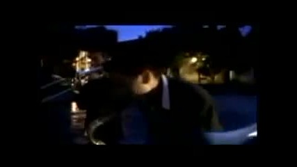 Pantera Mambo - La 33
