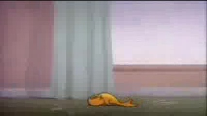 Tom & Jerry Jerry and the goldfish