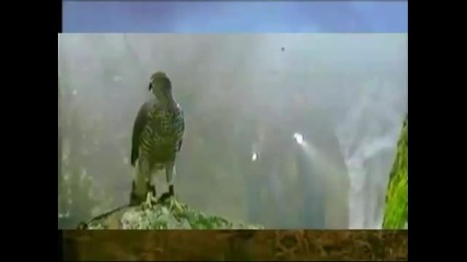 Yarabi - Yarabi hd Original Version Romanian 
