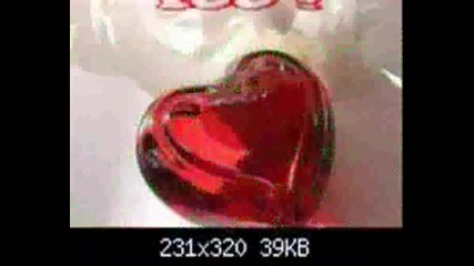 Movie0005.wmv