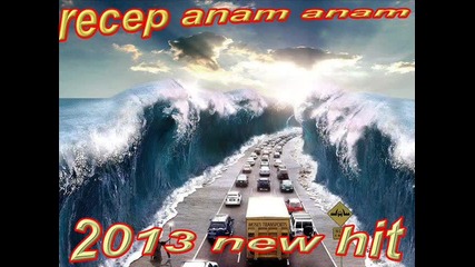 anam amam 2013 Recep - 2