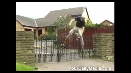 Unbelieveable Bike Tricks & Stunts